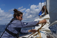 7e0cc1ecd1d905926279e6033533b56ba40c0077